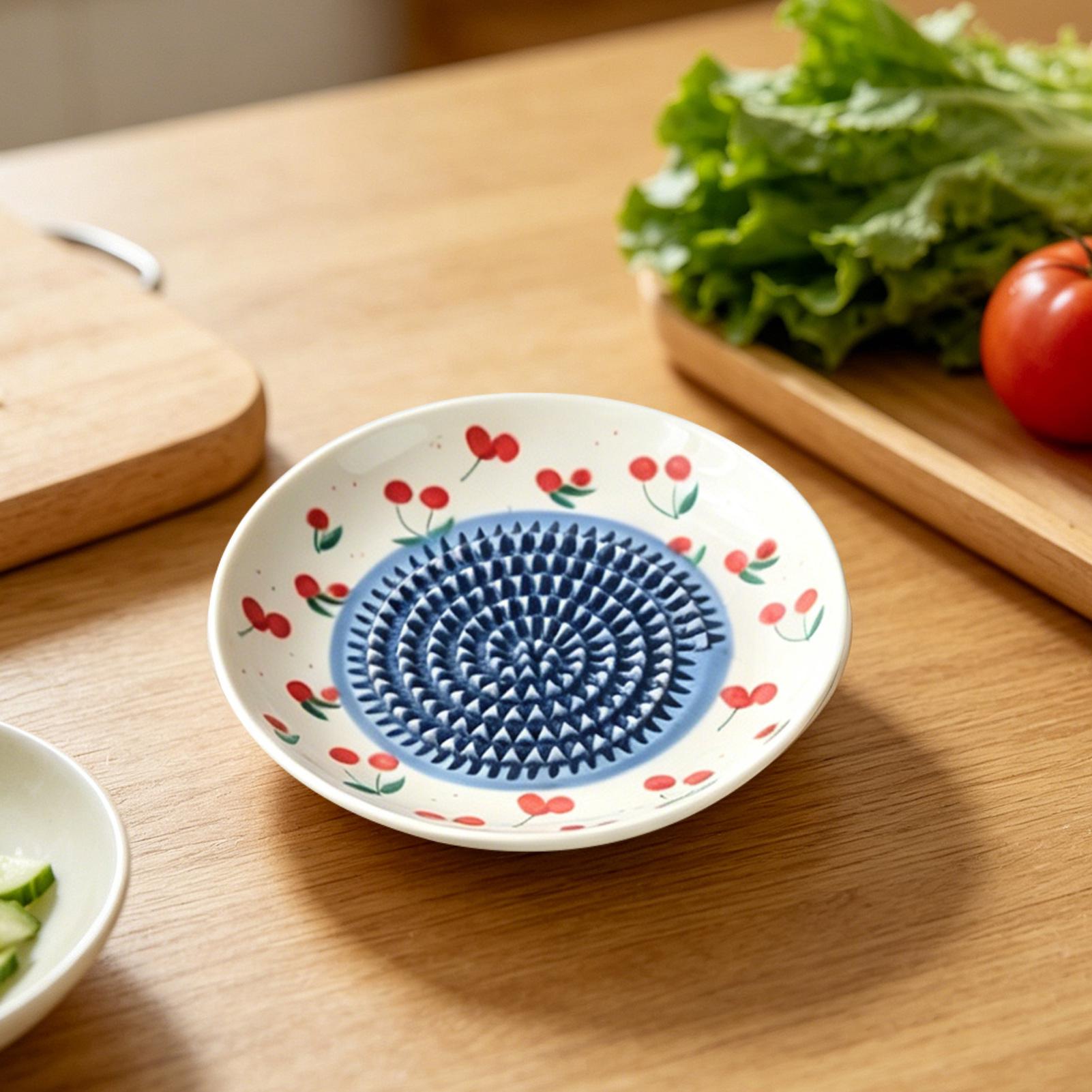 Home Cooking Dishes - Rallador de jengibre de cerámica simple,