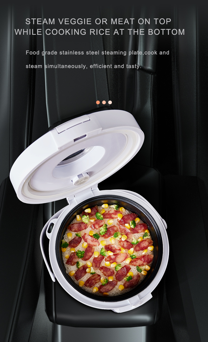 Olla Arrocera de 24V, Calentad - Home Cooking Heater reseña y precio