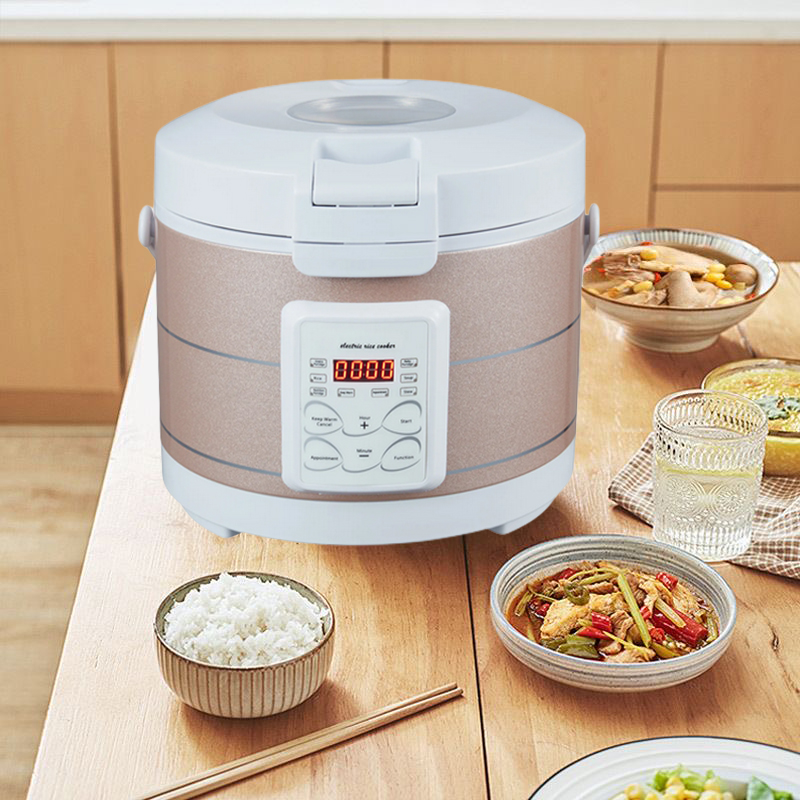 Olla arrocera de 12-24V 220V,  - Home Cooking Heater reseña y precio